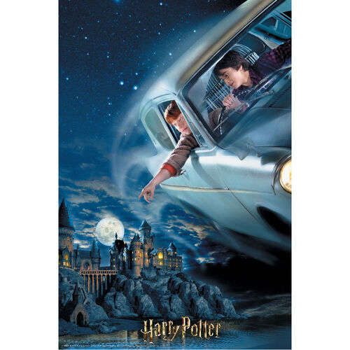 Puzzle-libro lenticular Harry Potter y Ron en el Ford Anglia