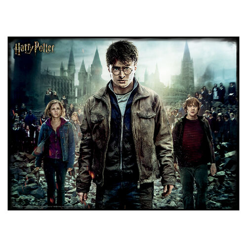 Puzzle lenticular Harry, Hermione y Ron 500 piezas