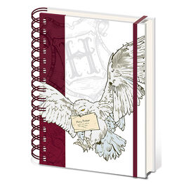Harry Potter (Special Delivery) A5 Wiro Notebook